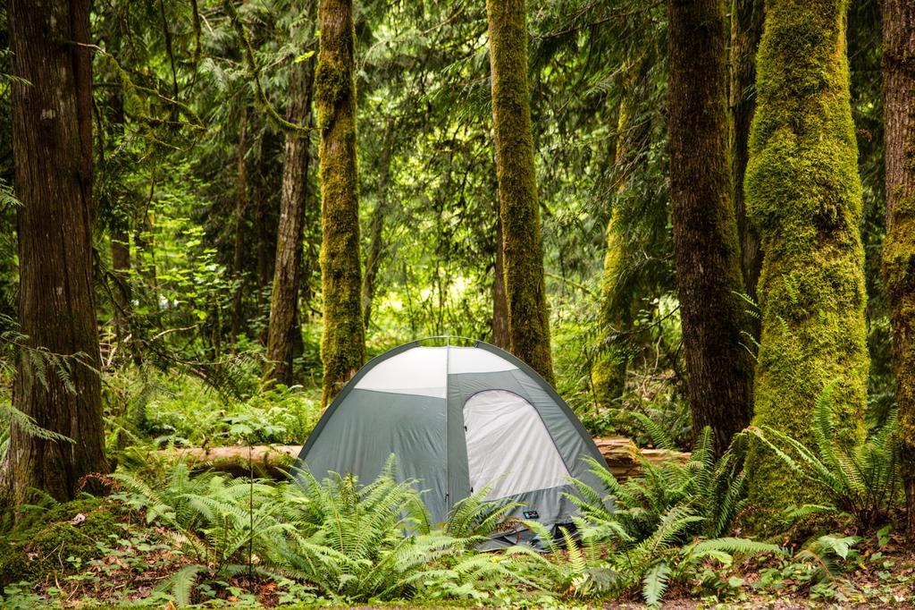 Mount Hood Village Premium Yurt 4 Welches Exterior photo